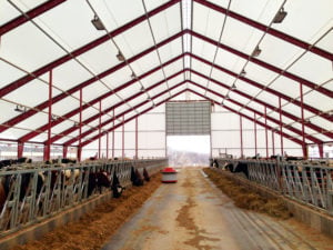 cattle building featured