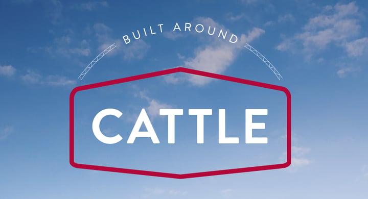 Accu-Steel Cattle Brochure  Image