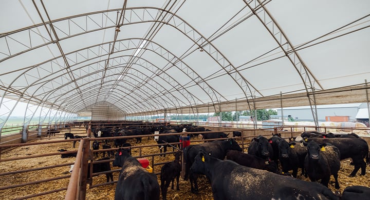 Severtson Farm x Andrea Flemming Image