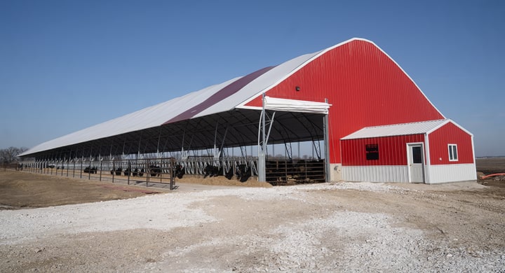 Robbins Land and Cattle Image