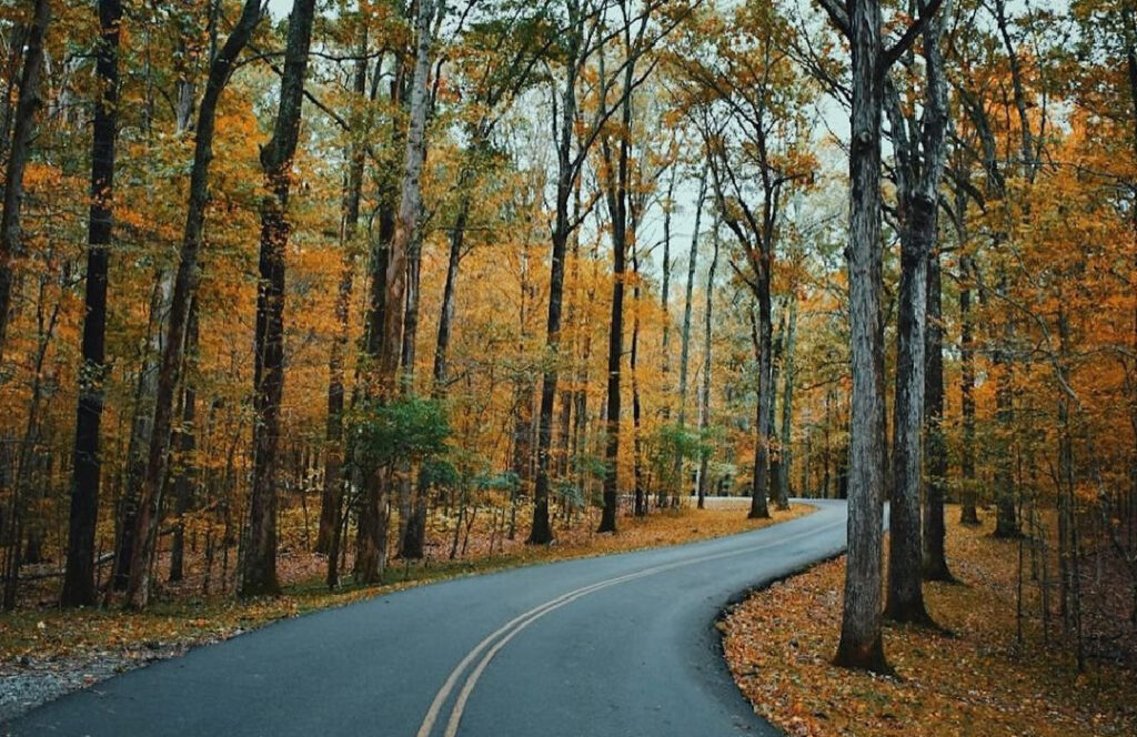A winding Tennessee road through the Montgomery Bell State Park, located in Dickson County.