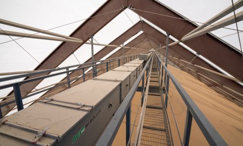 WEB_Grain_Crossover_Sidney-IL_Premier-Co-Op_2024_Premier-Co-Op-01073-(3)